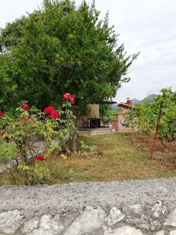 T-A Apartment Rijeka Crnojevića Δωμάτιο φωτογραφία
